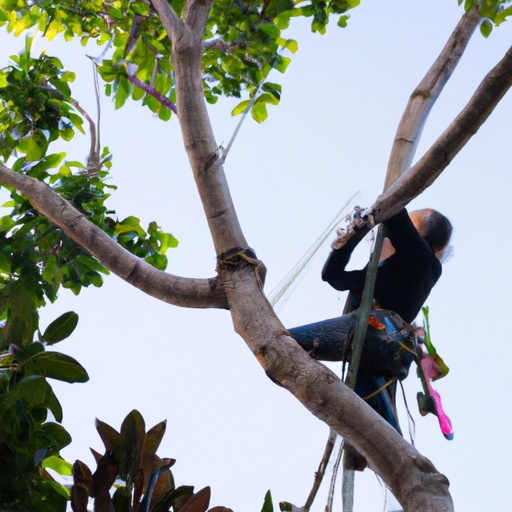 How to Safely and Efficiently Remove Trees from Your Property