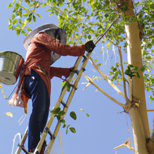 Importance of hiring professional tree removal services