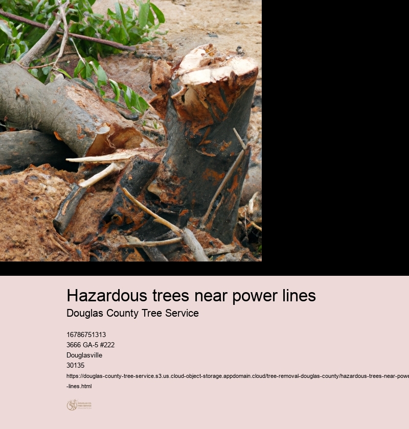 Hazardous trees near power lines