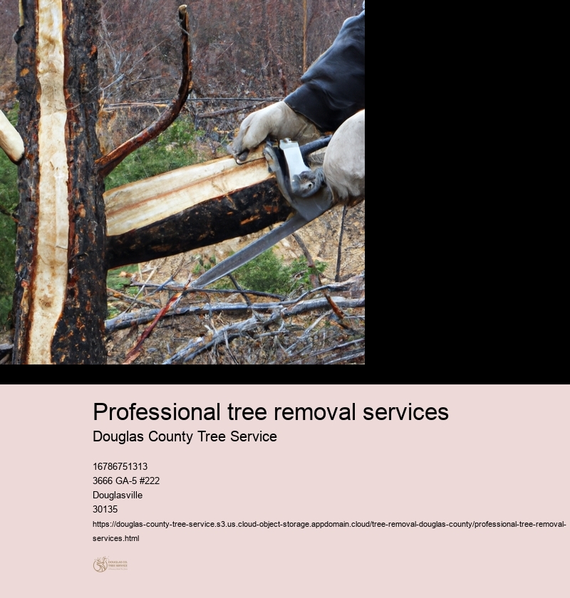 Professional tree removal services
