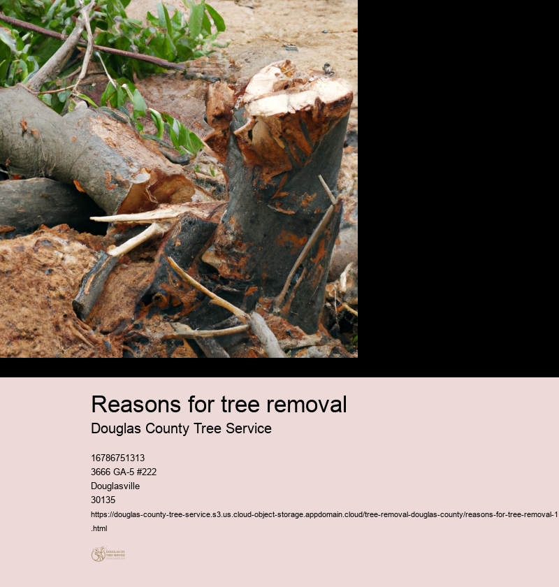 Reasons for tree removal