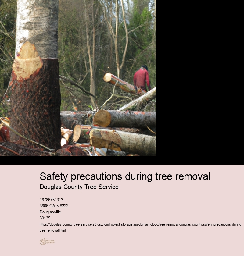 Safety precautions during tree removal