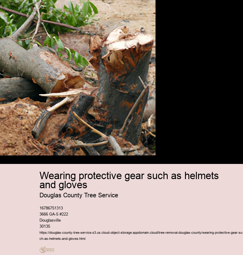 Wearing protective gear such as helmets and gloves